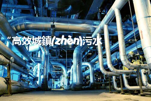 “高效城鎮(zhèn)污水處理流程，守護(hù)碧水藍(lán)天新篇章”
